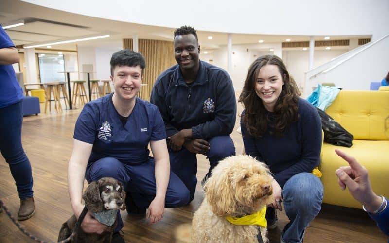 Pets as Therapy Charity Visits Medical Students