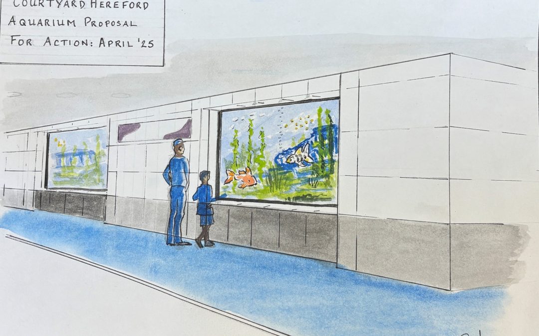 Courtyard install aquarium for the summer