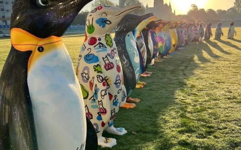 The Great Waddle of Worcester 2024 has officially come to a close
