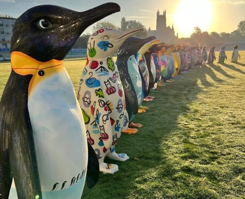 The Great Waddle of Worcester 2024 has officially come to a close