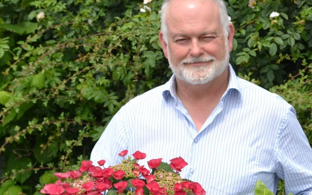 Garden centres can order three plants this year from Wyevale Nurseries to fundraise for the charity Perennial