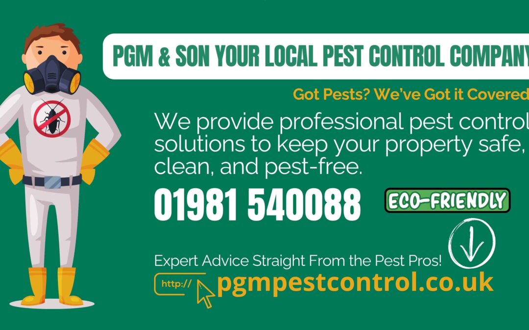 Wasp Nest Removal for Businesses: Protecting Your Workplace Safely and Efficiently