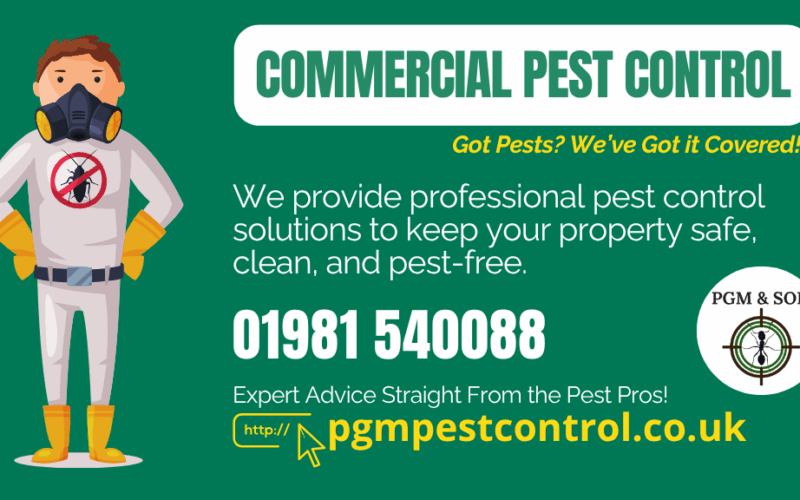 Peace of Mind for Local Businesses: Commercial Pest Control You Can Trust