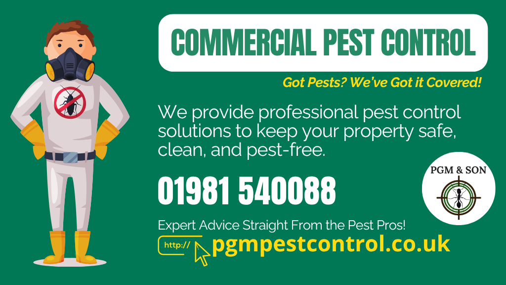 Peace of Mind for Local Businesses: Commercial Pest Control You Can Trust