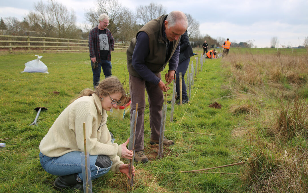 University a Finalist in National Sustainability Awards