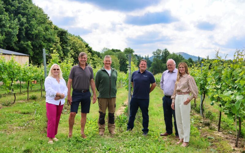 Award-winning Herefordshire vineyard collaborates with other vineyards in area to promote English wines