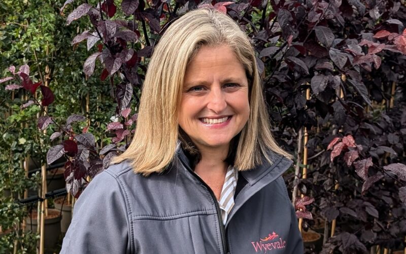 Leading commercial nursery offers free expert advice on to how to plant a bareroot hedge