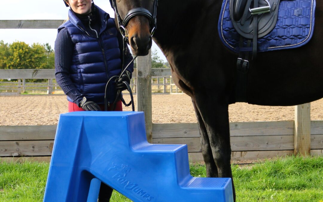 JSC Rotational Ltd Wins Coveted BETA International New Product Showcase Award for the Innovative PolyJumps 4-Step Mounting Block