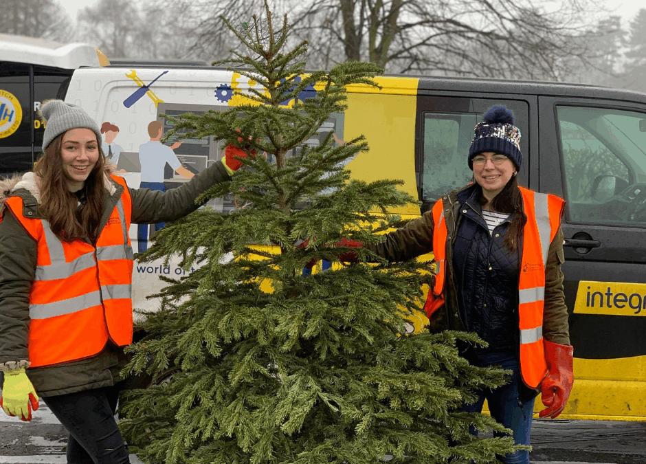 Recycle Your Christmas Tree with the Grace Kelly Childhood Cancer Trust