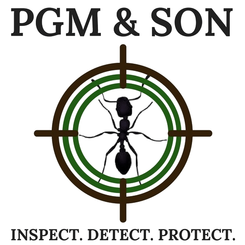 Why Every Restaurant Needs a Pest Control Contract in Herefordshire