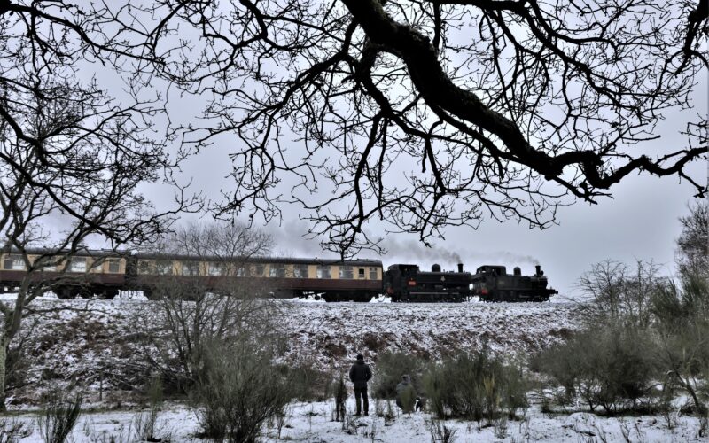 Severn Valley Railway kicks off 2026 with a winter celebration of steam