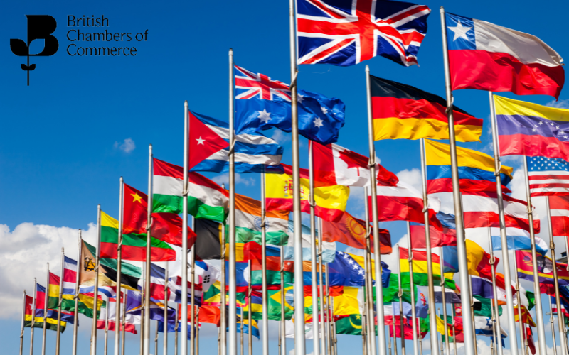 Customs Reform Needed As Import Rules Change