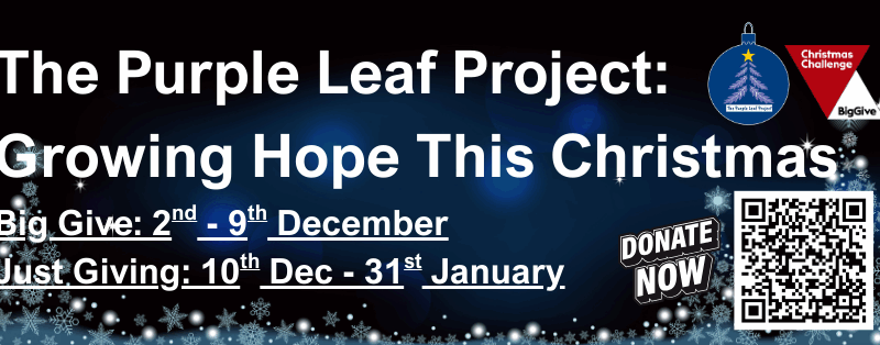 Growing Hope This Christmas: How Local Businesses Can Support WMRSASC’s Purple Leaf Project
