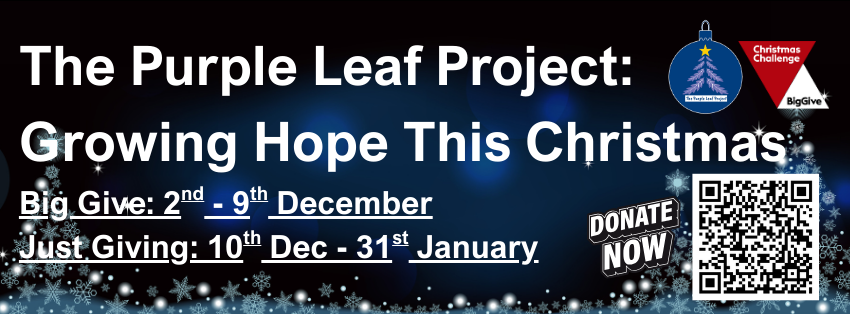 Growing Hope This Christmas: How Local Businesses Can Support WMRSASC’s Purple Leaf Project