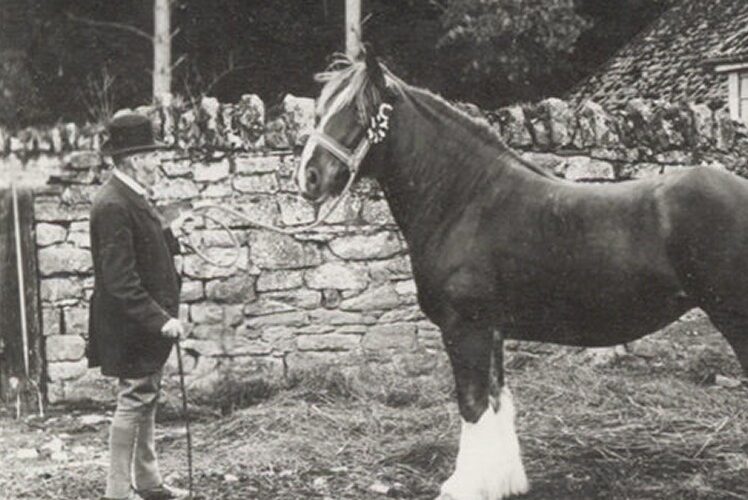 150 years of Heritage and Innovation combined for success