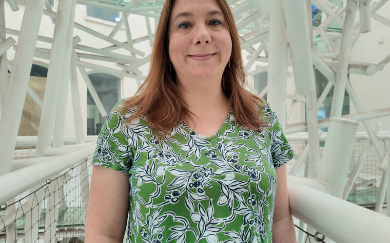 University Expert’s Tips on How to Finish a Novel, Not Just Start One!