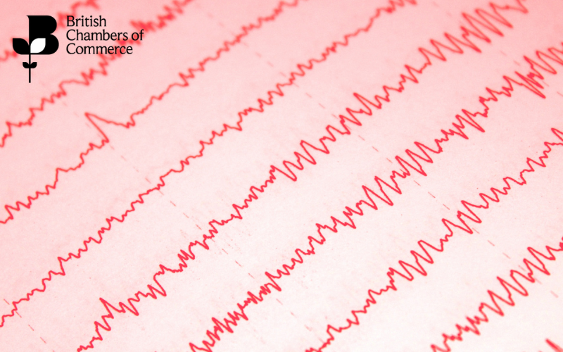 Reading the Seismograph: What the BCC’s QES Dashboard can tell us about the looming economic shock