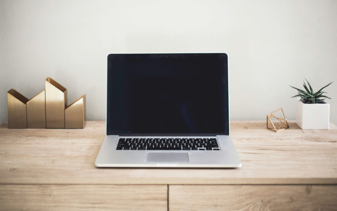 What to do when your web developer disappears