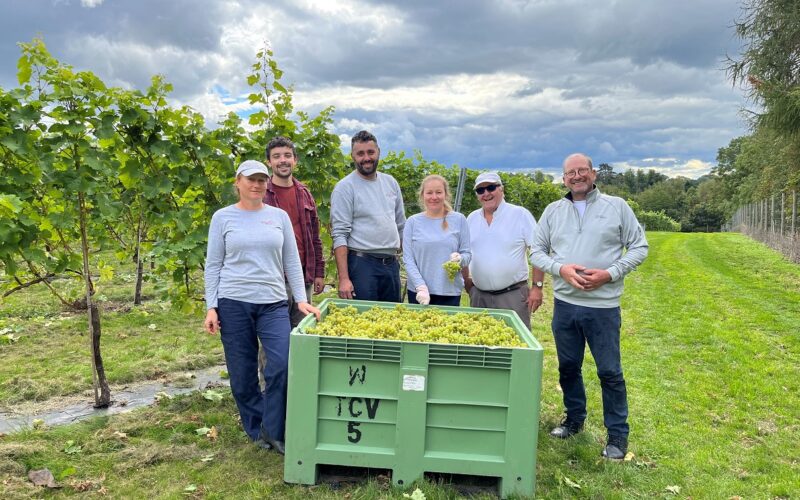 Multi-award-winning vineyard which is part of Wyevale Nurseries offers ‘Taste of Herefordshire’ tours & tastings for English Wine Week