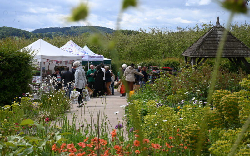 Plant Fair brings in over £22,000 to St Michael’s