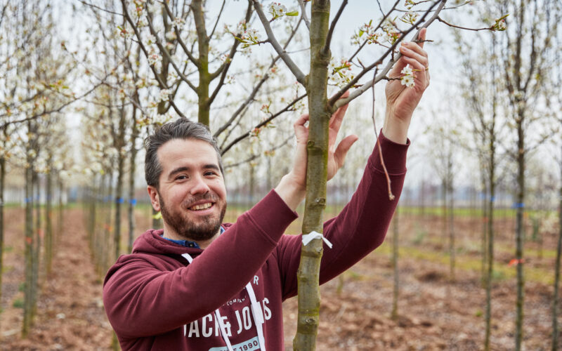 Wyevale Nurseries ‘Original Select’ range grown to foster resilient native tree planting