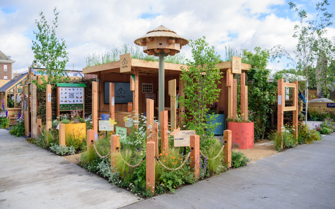 Local biodiversity focused business Niche – named finalist in prestigious RHS Chelsea Sustainable Garden Product of the Year Awards