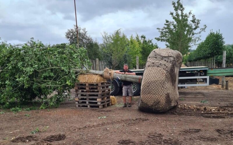Wyevale Nurseries appoints Production Development Manager to help boost future growth