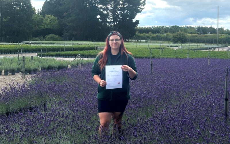 Wyevale Nurseries receives Plant Healthy Certification for sixth year in succession