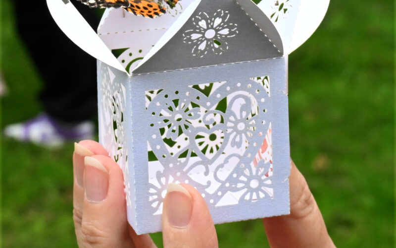 Butterfly Release Raises over £6,500 for KEMP Hospice