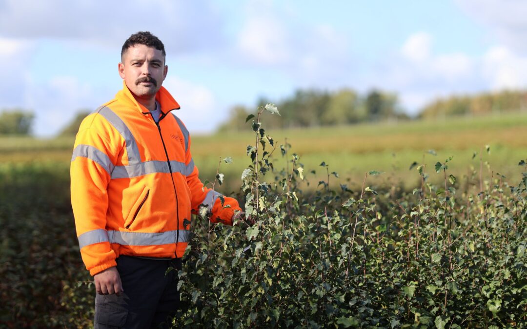 Wyevale Nurseries launches ‘Awesome Autumn’ campaign to champion autumn planting