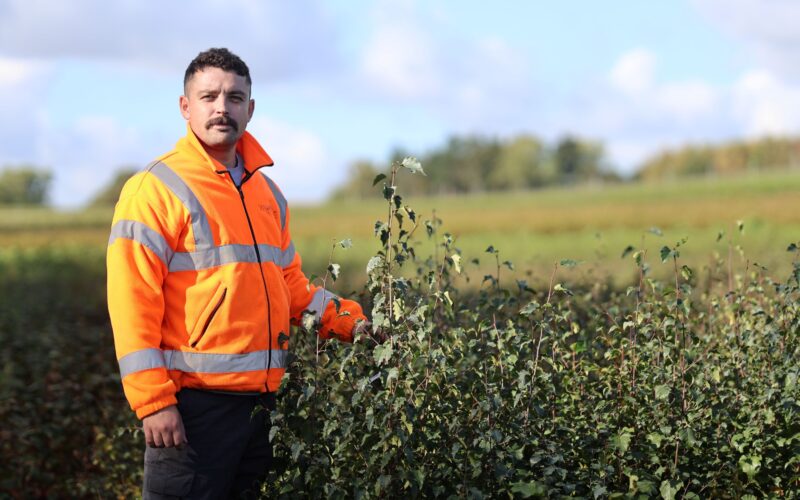 Wyevale Nurseries launches ‘Awesome Autumn’ campaign to champion autumn planting